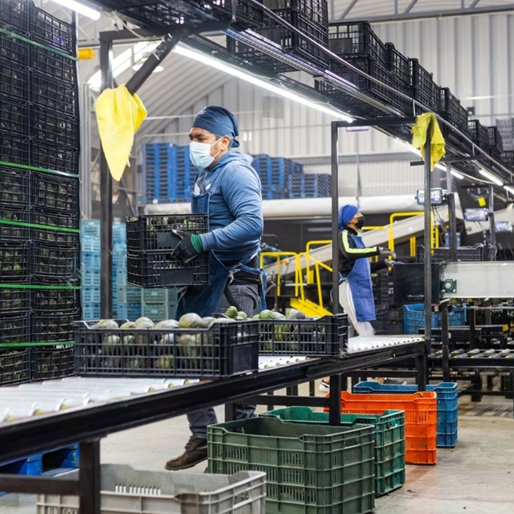 Yaş Sebze-Meyve İhracatı